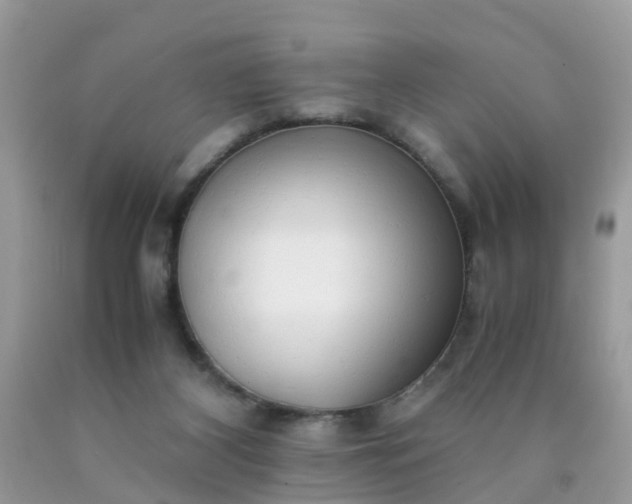 X0000090430116200707272140