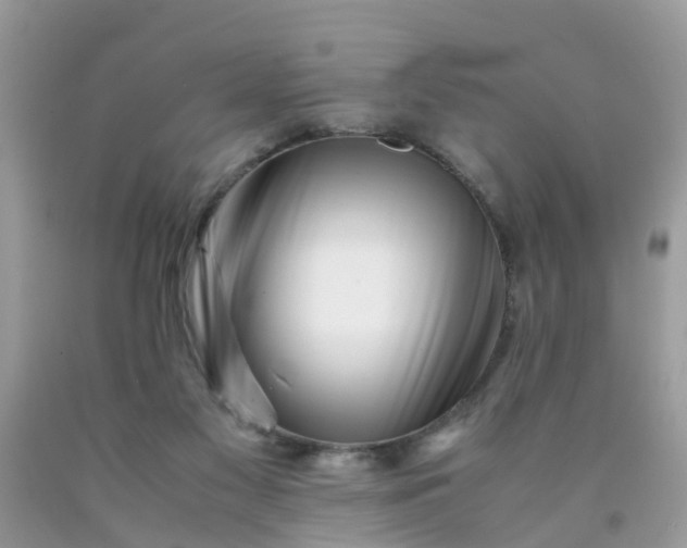 X0000090430117200707272140