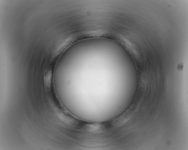 X0000090430118200707272140