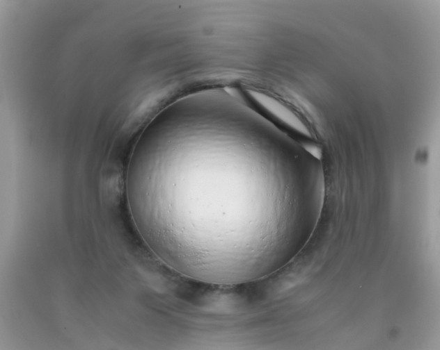 X0000090430119200707272140