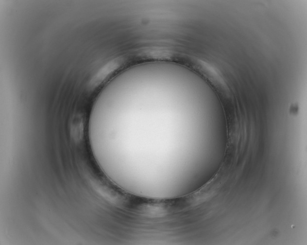 X0000090430120200707272140