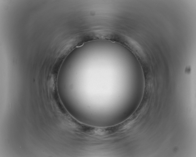 X0000090430121200707272140