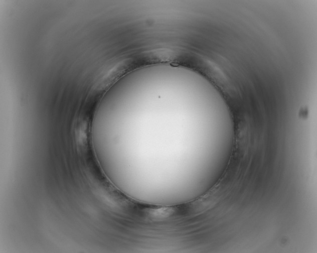 X0000090430122200707272140