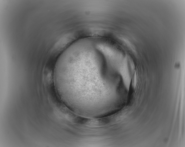 X0000090430123200707272140