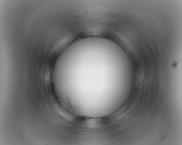 X0000090430126200707272140