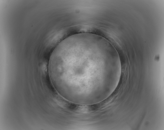 X0000090430127200707272140