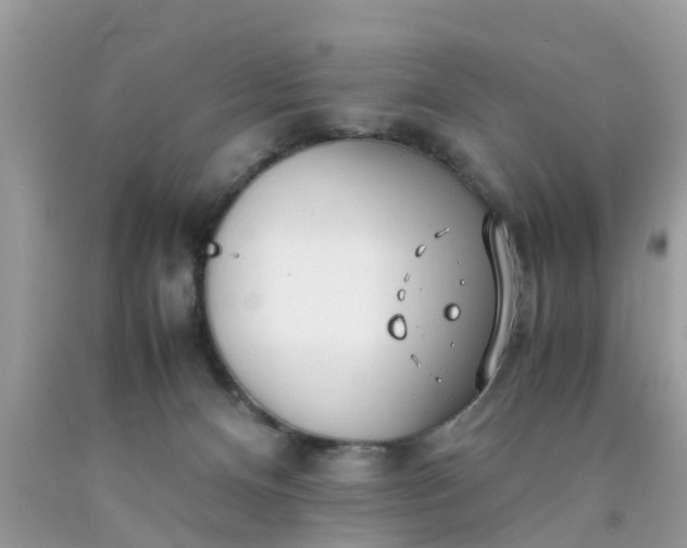 X0000090430128200707272140