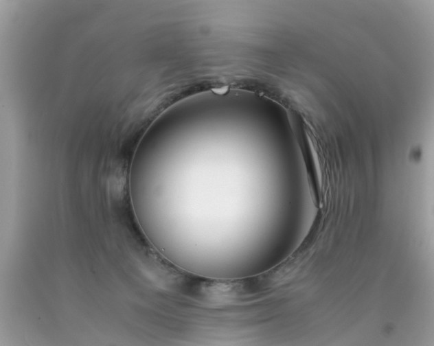 X0000090430129200707272140