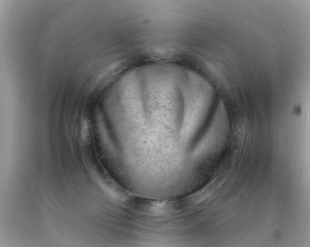 X0000090430130200707272140