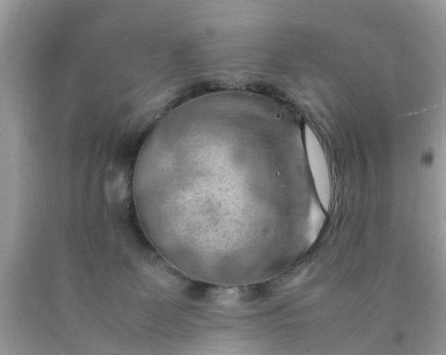 X0000090430131200707272140