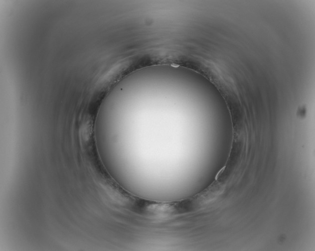 X0000090430133200707272140