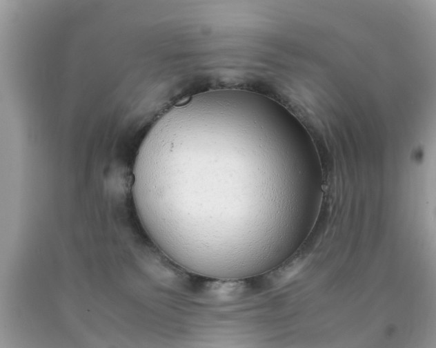 X0000090430135200707272140