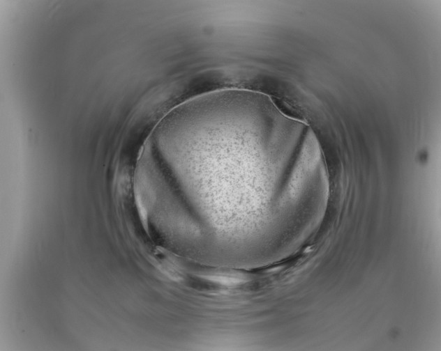 X0000090430137200707272140