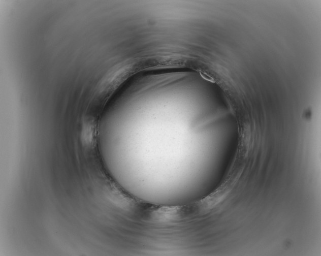 X0000090430138200707272140