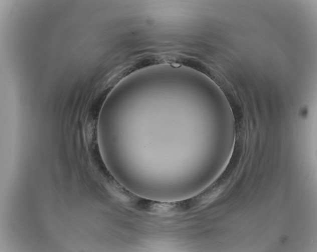 X0000090430139200707272140