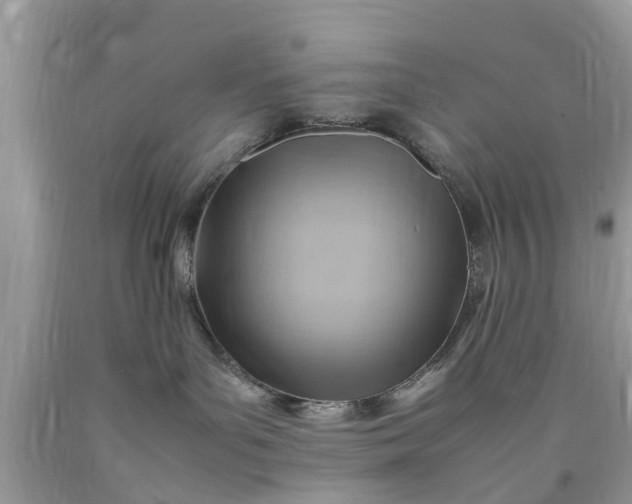 X0000090430143200707272140