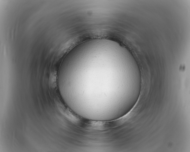 X0000090430144200707272140