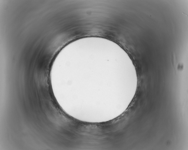 X0000090430146200707272139