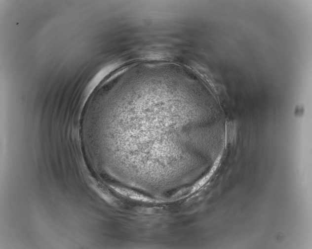 X0000090430147200707272139