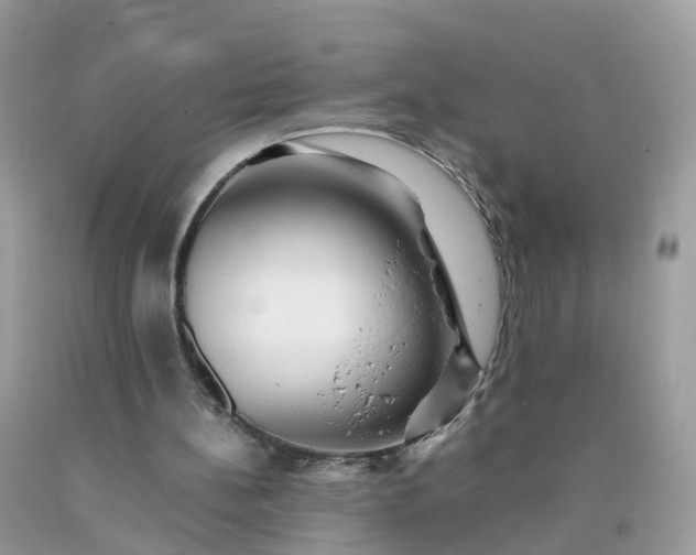 X0000090430148200707272139