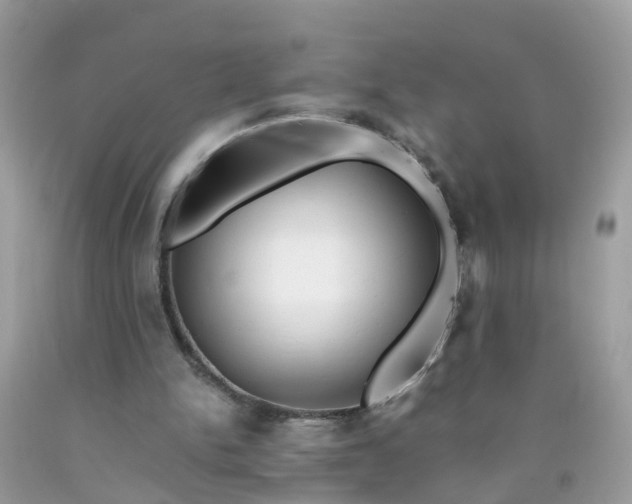 X0000090430150200707272139