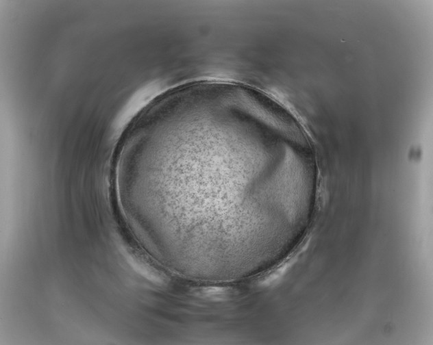 X0000090430151200707272139