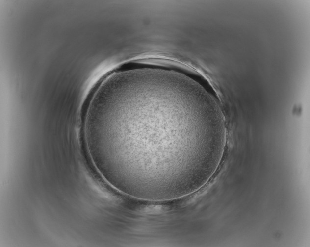 X0000090430152200707272139