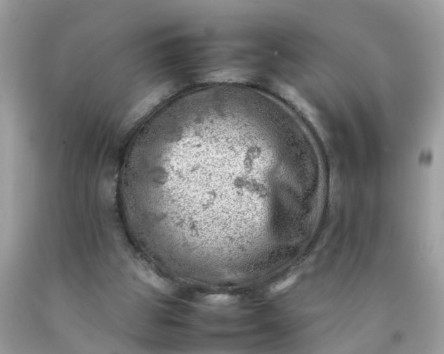 X0000090430153200707272139