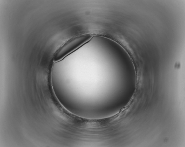 X0000090430154200707272139