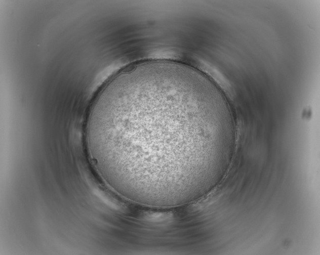 X0000090430155200707272139