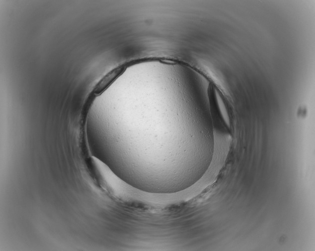 X0000090430156200707272139