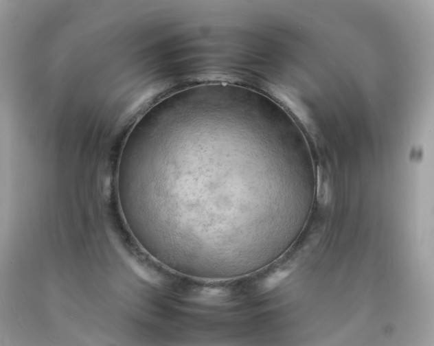 X0000090430157200707272139