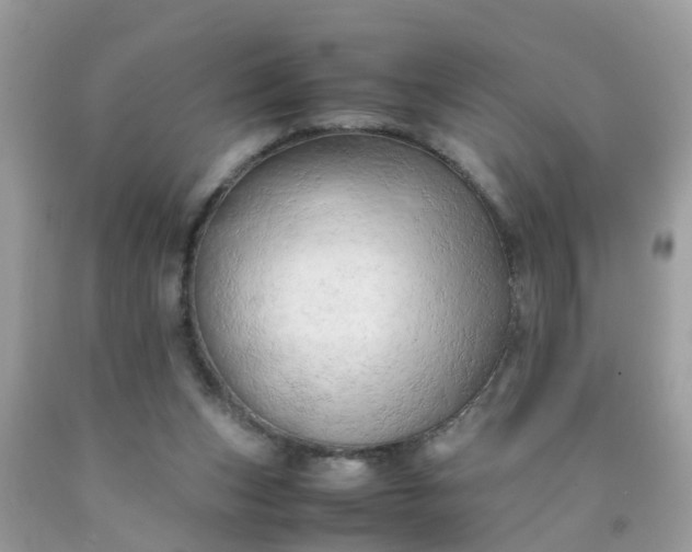 X0000090430159200707272139