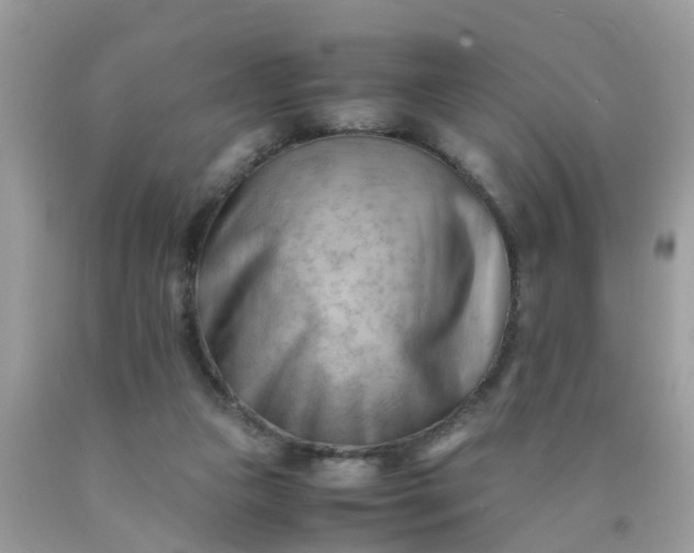 X0000090430161200707272139