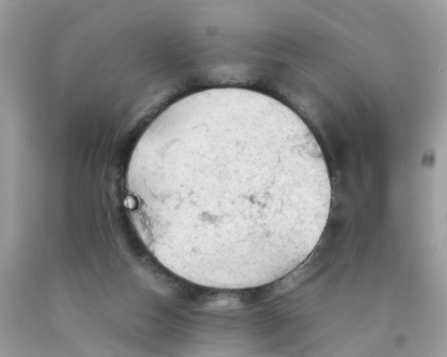 X0000090430162200707272139