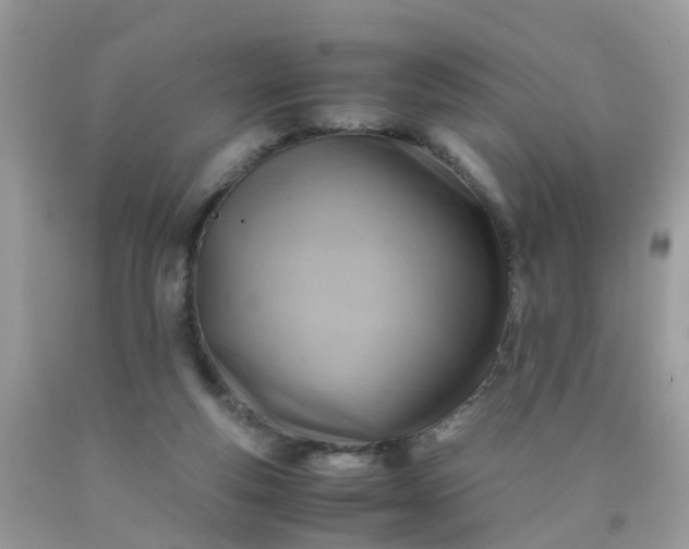 X0000090430163200707272139