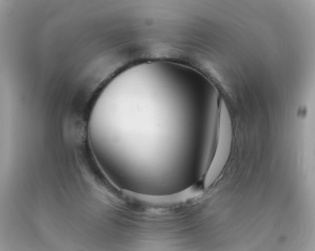 X0000090430164200707272139