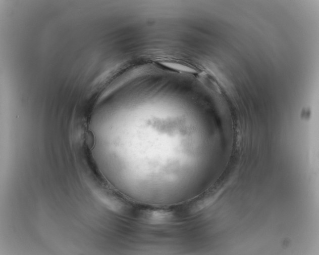 X0000090430165200707272139