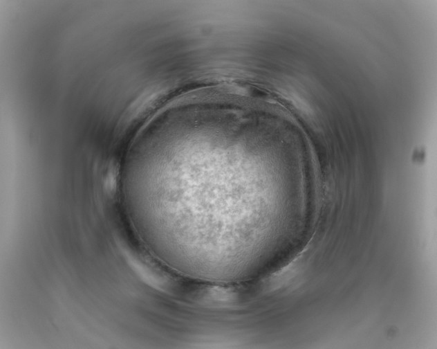 X0000090430166200707272139