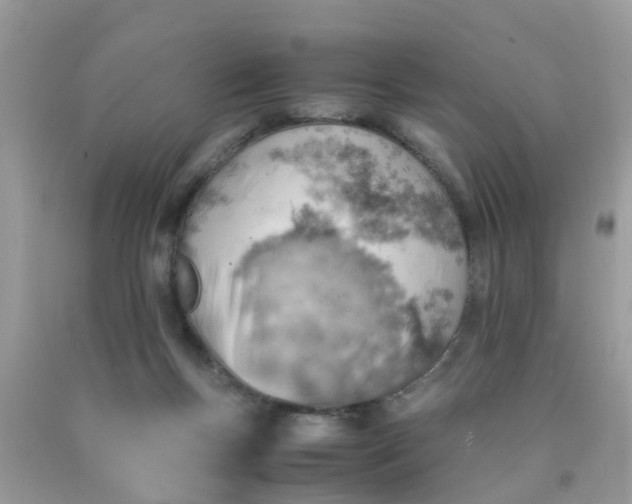 X0000090430167200707272139