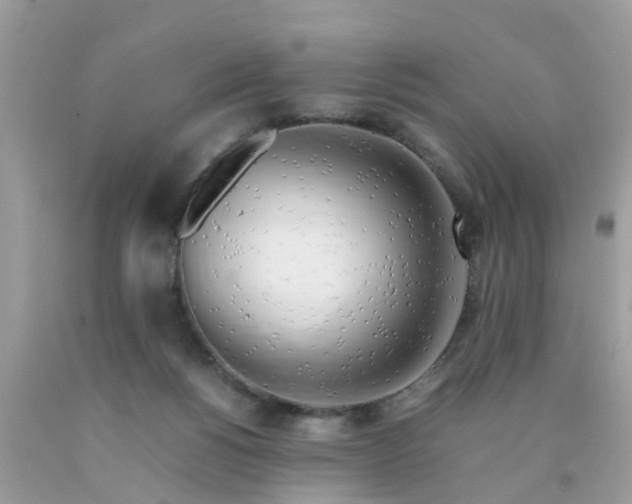 X0000090430168200707272139