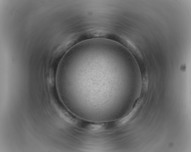 X0000090430170200707272139