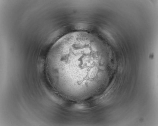 X0000090430171200707272139