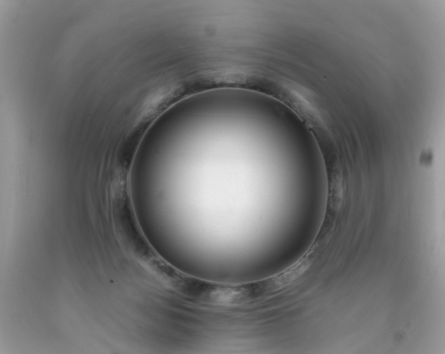 X0000090430172200707272139