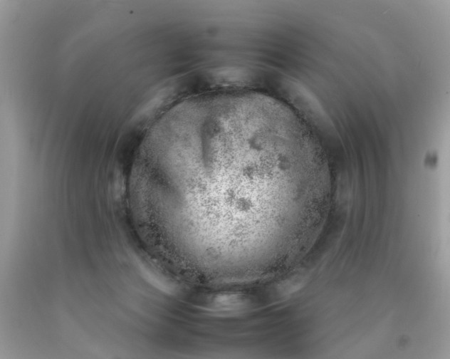 X0000090430173200707272140