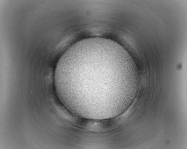 X0000090430174200707272140