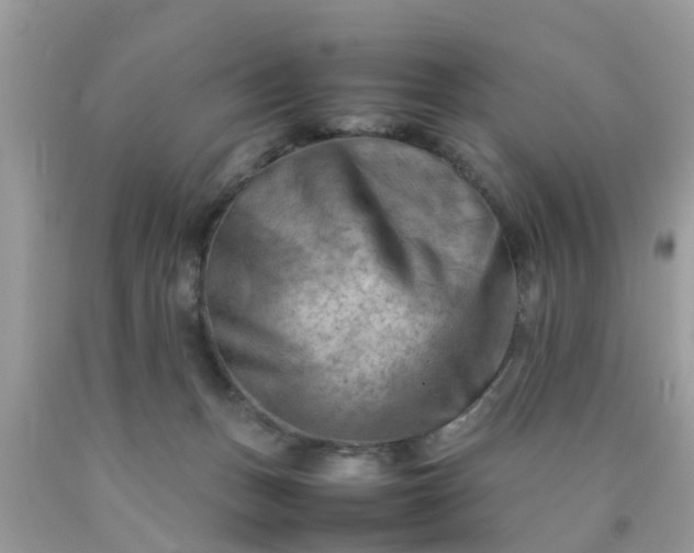 X0000090430175200707272140