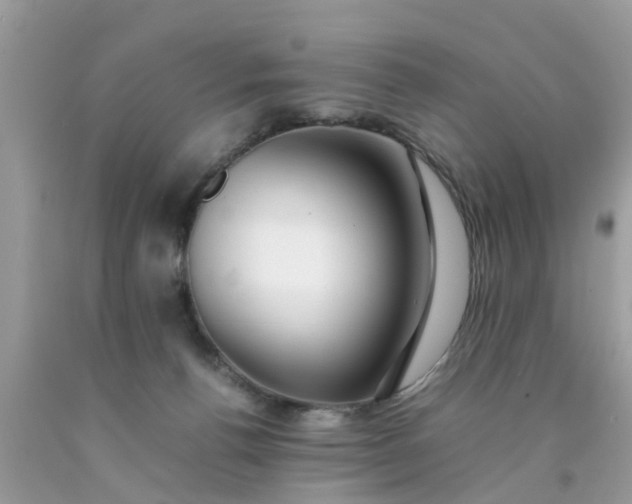 X0000090430176200707272140