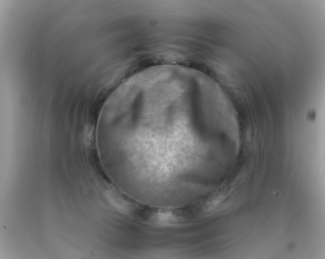 X0000090430177200707272140