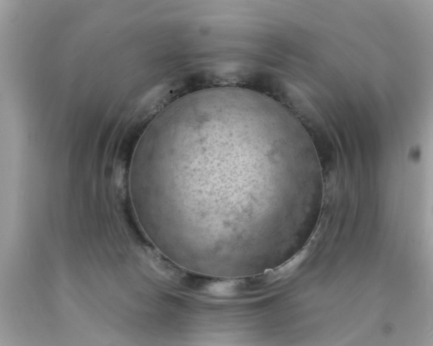 X0000090430178200707272140